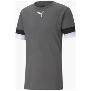Футболка Puma teamRISE Jersey сірий Чол